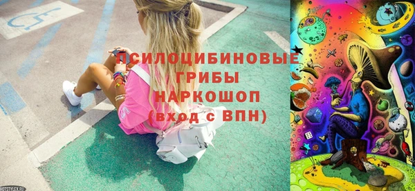 амф Верхний Тагил