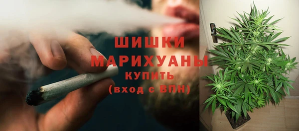 индика Верхнеуральск