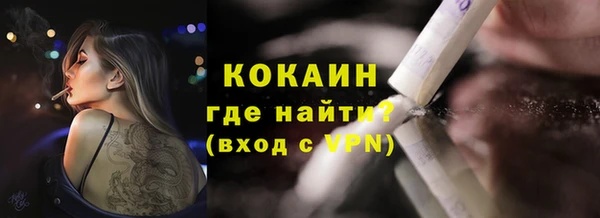 амф Верхний Тагил