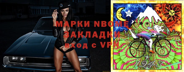 амф Верхний Тагил