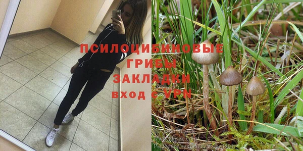 индика Верхнеуральск