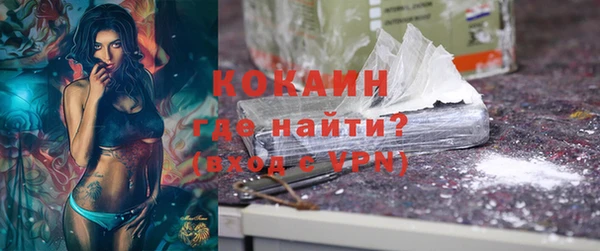 амф Верхний Тагил