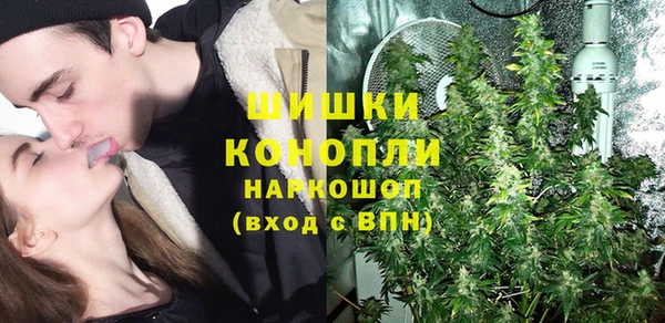 амф Верхний Тагил