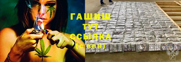 амф Верхний Тагил