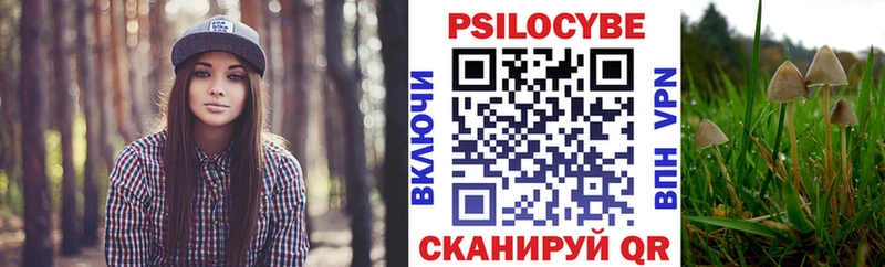 Галлюциногенные грибы GOLDEN TEACHER  Фролово 